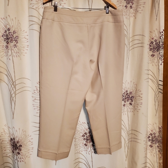 Ingredients Cropped Pants - Picture 2 of 8